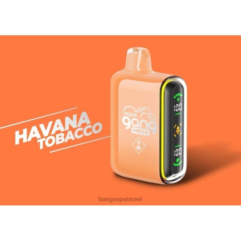 Vape Gang MEGA 20,000 פחזניות אדים חד פעמיים (קופסה של 5) 4J2PV55 טבק הוואנה vape gang israel